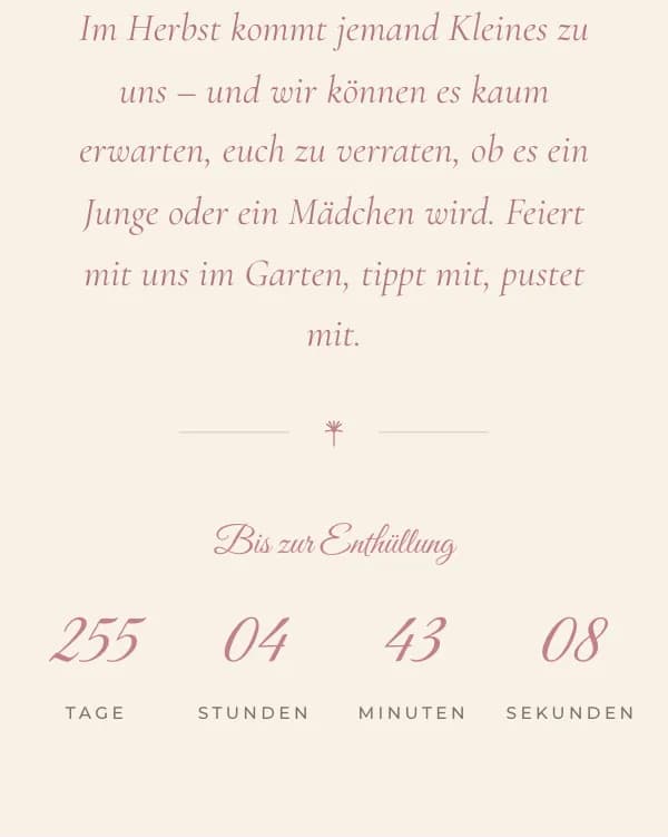 Pusteblume: der Countdown bis zur Feier