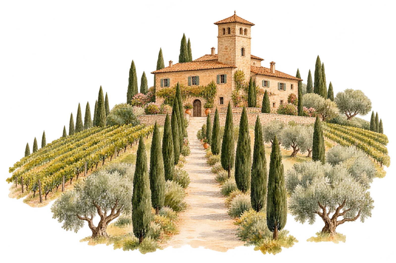 Aquarell der Tenuta Belvedere: ein steinernes Landgut mit Turm, eine Zypressenallee und Weinberge